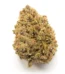 Alien OG Strain