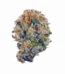 Blueberry Muffin Strain