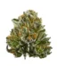 Bubba Kush Strain