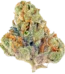 Bubble Gum Strain