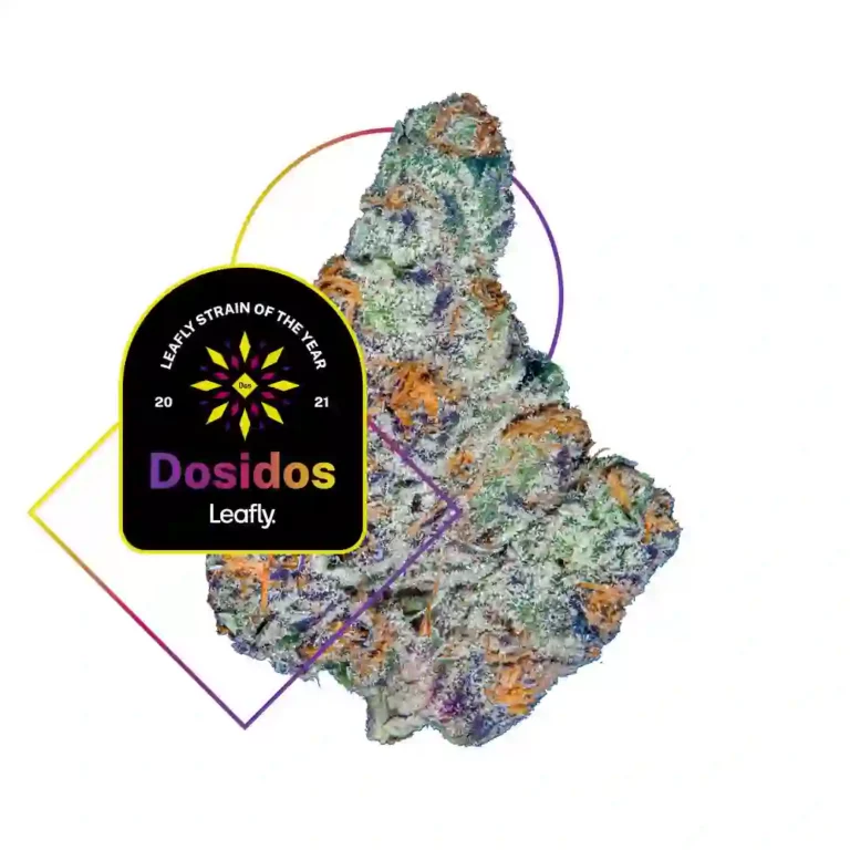 Dosidos Strain