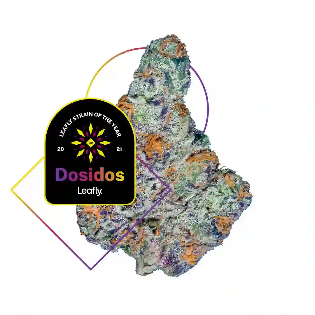 Dosidos Strain