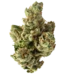 SFV OG Strain