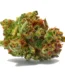 Sour Diesel Strain