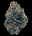 Zkittlez Strain