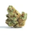 12 Year OG Strain