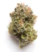 2 Scoops Strain