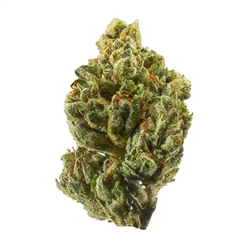24k Gold Strain