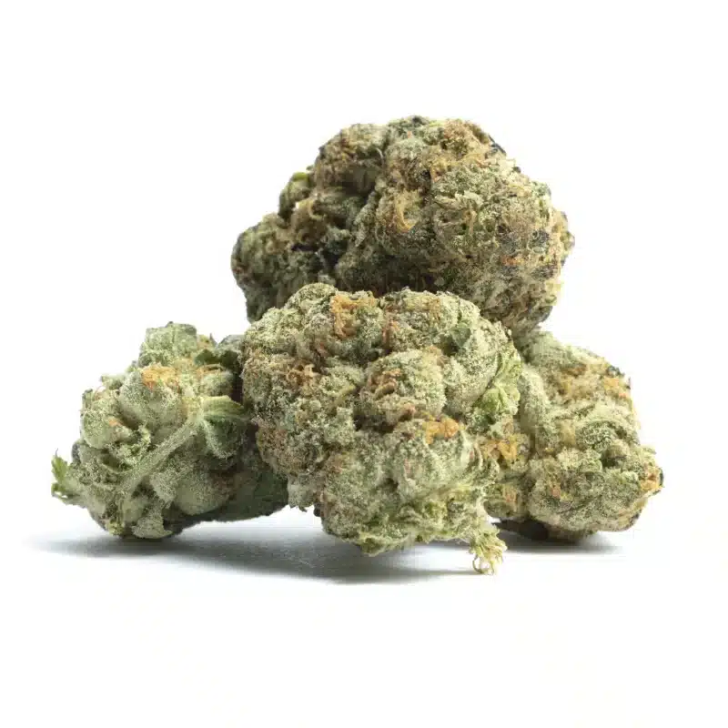3 Kings Strain