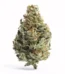 33 Bananas Strain