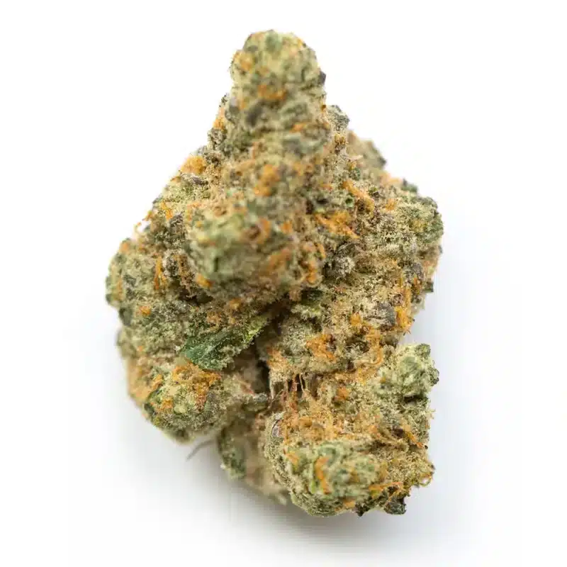 503 Wifi Strain