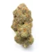 60 Day Wonder Strain