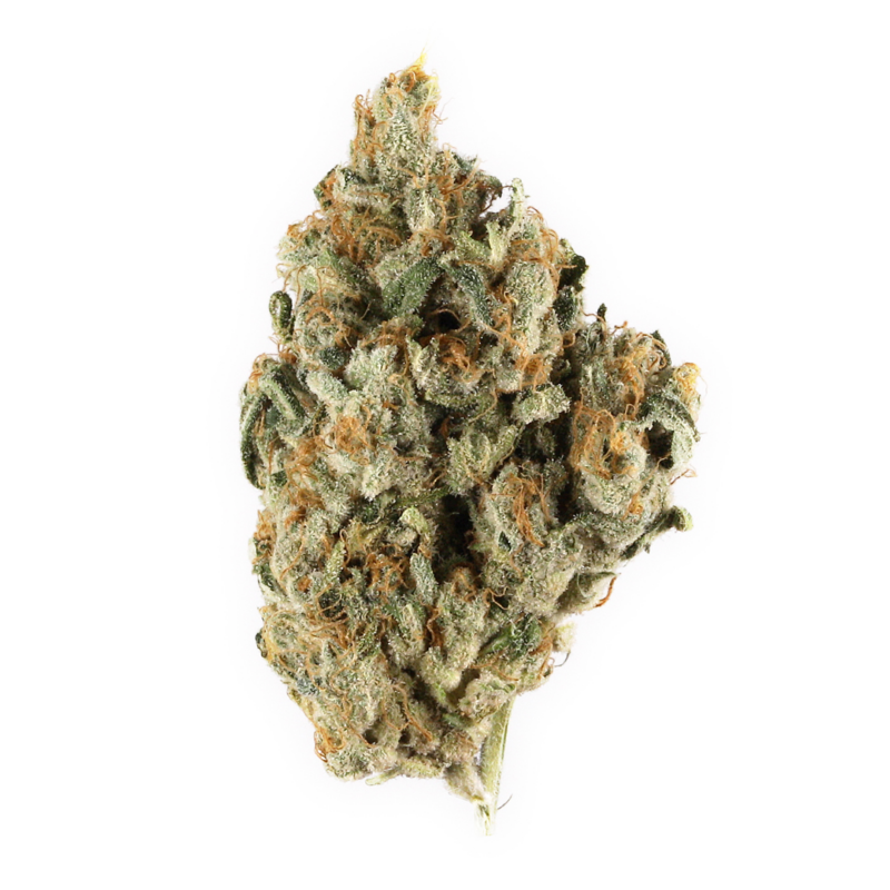 66 Cookies Strain