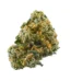 7 of 9 Strain