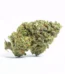 707 Strain
