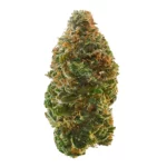 91 Krypt Strain
