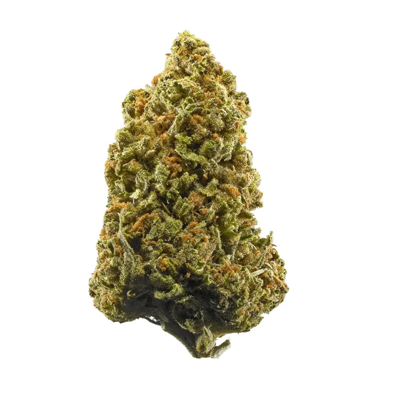 98 Aloha White Widow Strain