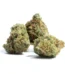 AK Choco Kush Strain
