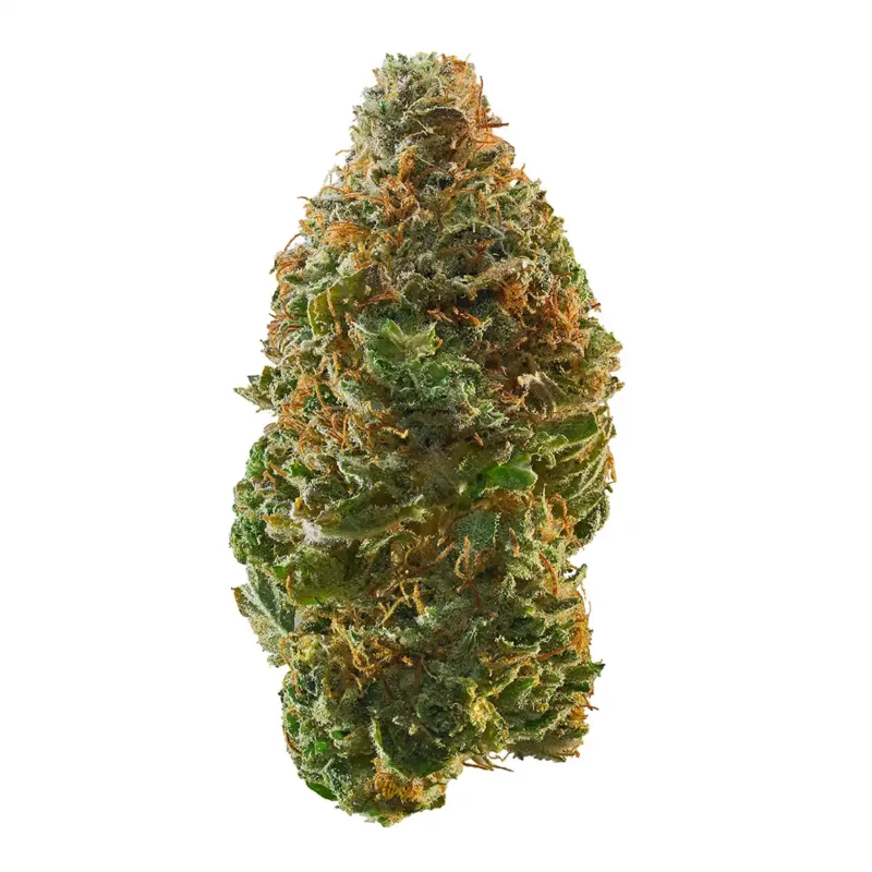 Acid Dough Strain