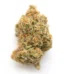 Afcrack Strain