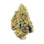Afghanica Strain