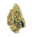 Afternoon Delight Strain