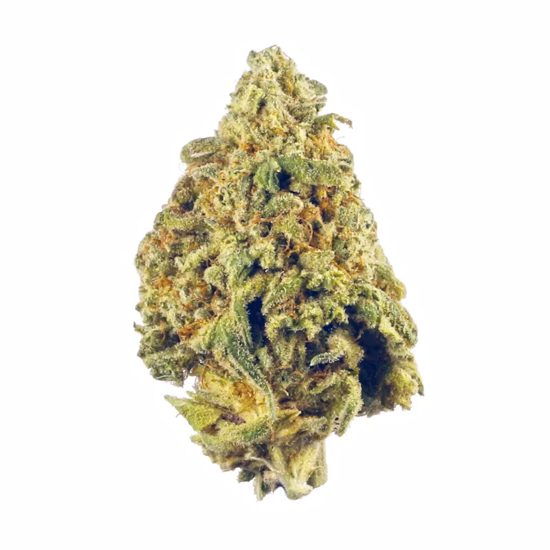 Afternoon Delight Strain