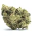 Agent Tangie Strain