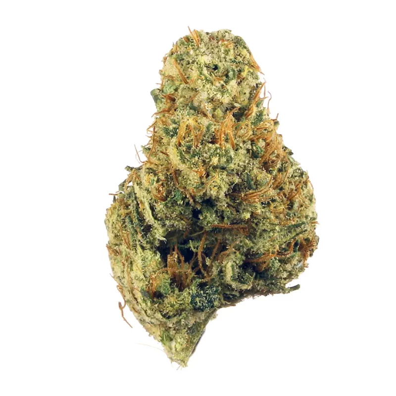 Albert Walker Strain