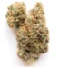 Alchemy Strain