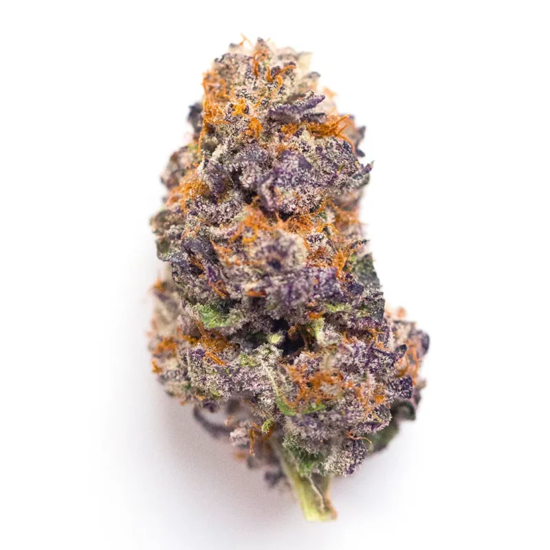 Alf Strain
