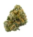 Alien Abduction Strain