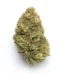 Alien Mints Strain