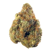 Alien Pebbles Strain