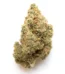 Alien Reunion Strain