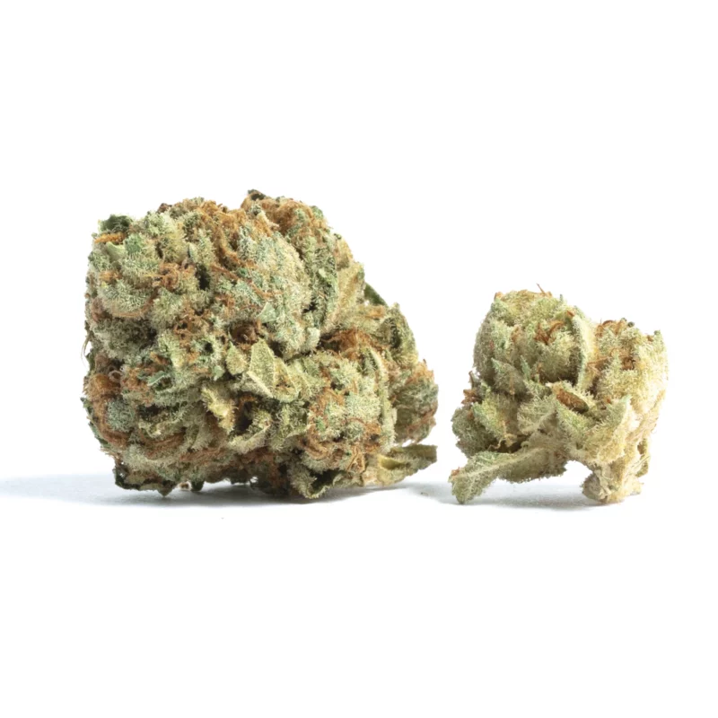 Alien Rock Candy Strain