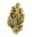 Aliens On Moonshine Strain