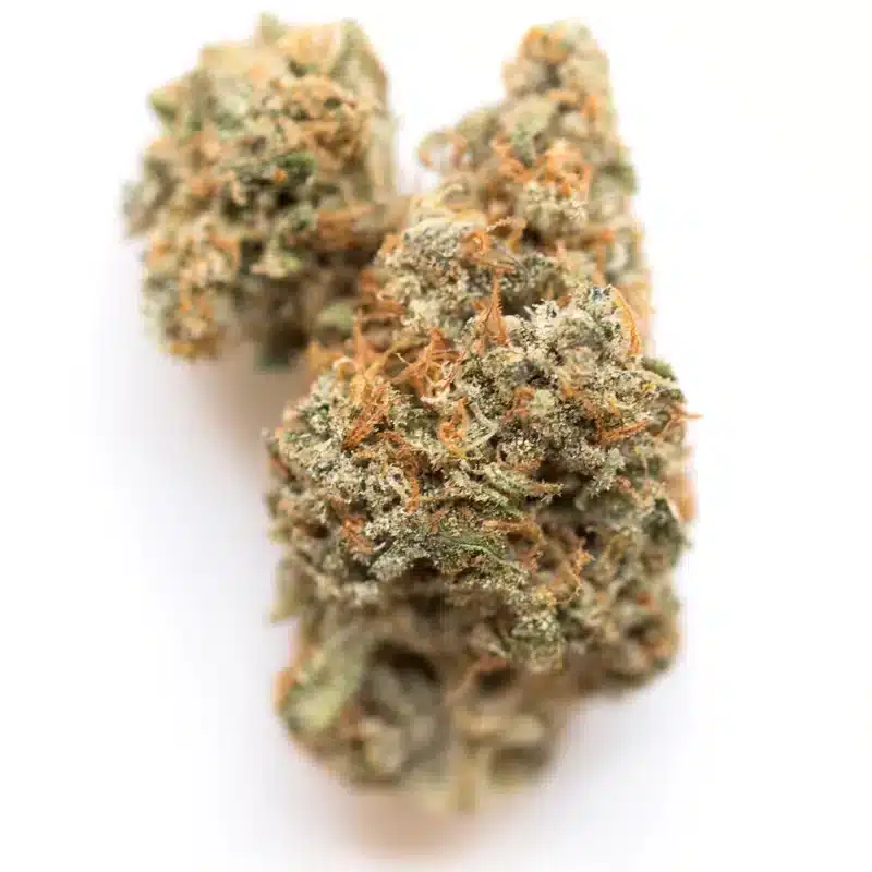 Alion Strain