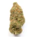 Allen Iverson OG Strain
