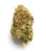 Aloha Grape Stomper Strain