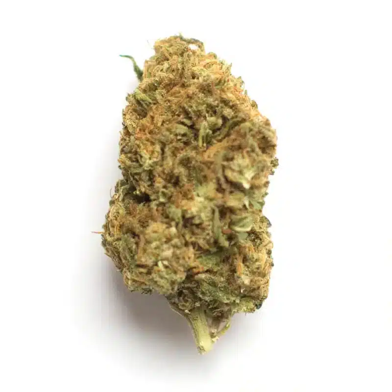 Aloha Grape Stomper Strain