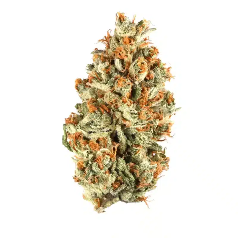 Alpha Blue Strain