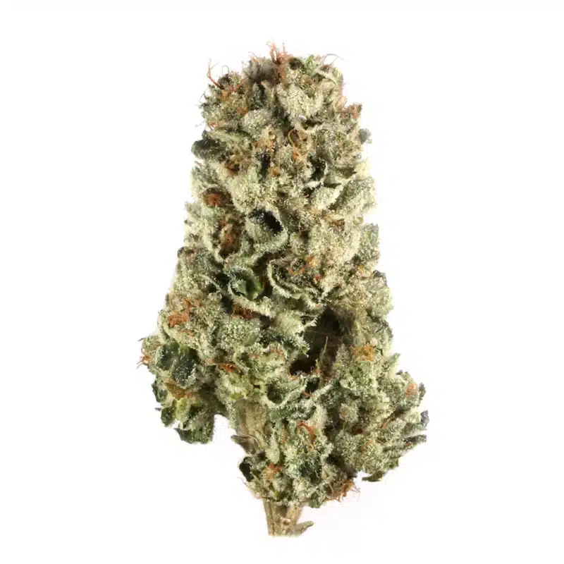 Alpha Centauri Strain