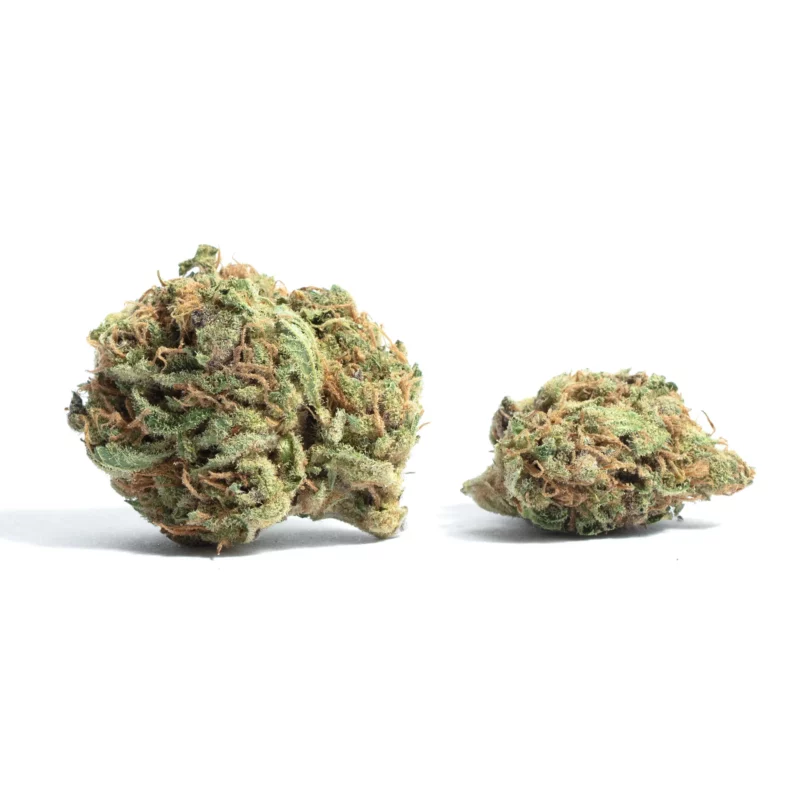 American Dream Strain