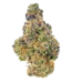 Amethyst Bud