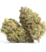 Amnesia Lemon Haze Strain