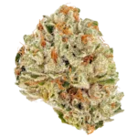 Amnesia OG Strain