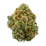 Amnesia White