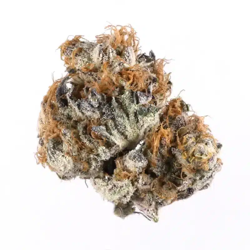 Animal Gas Strain