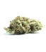 Animal Kush Mints Strain